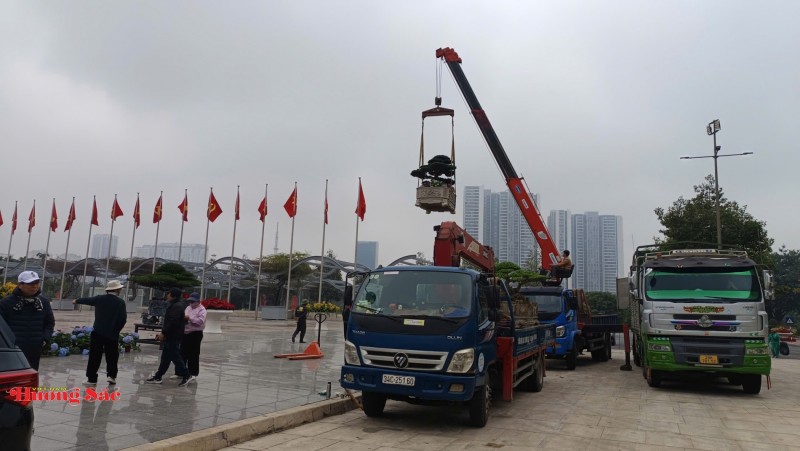 Bàn giao Cây cảnh nghệ thuật làm đẹp không gian Đại hội XIV