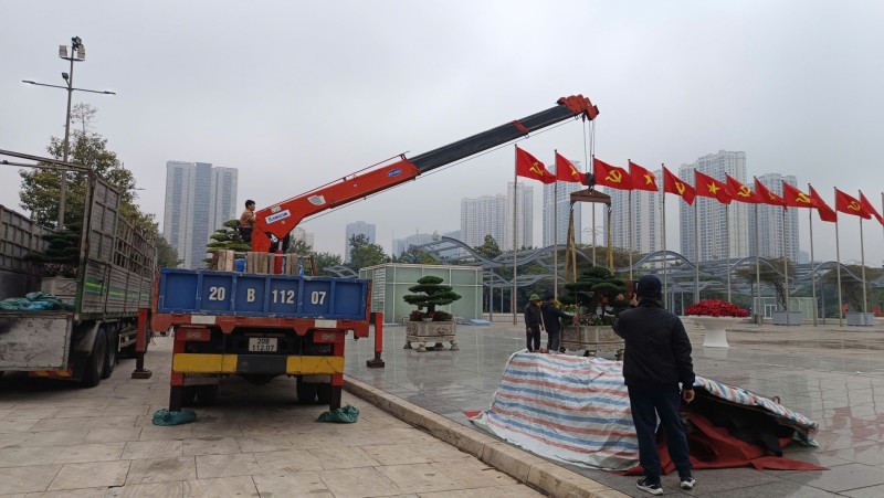 Bàn giao Cây cảnh nghệ thuật làm đẹp không gian Đại hội XIV