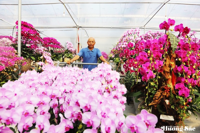 Lan ghép lũa gỗ ở Hà Tĩnh dịp Tết: Giá chục triệu vẫn bán chạy