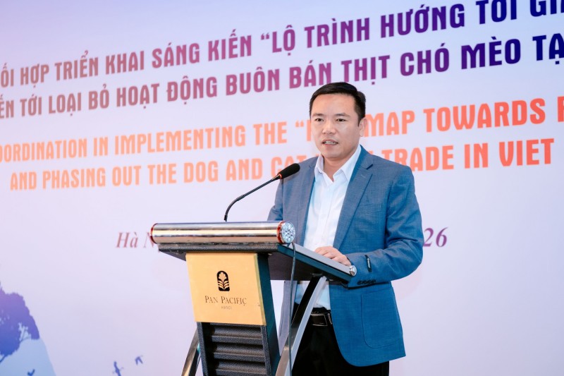 Cuộc họp kỹ thuật bàn giải pháp toàn diện cho quản lý chó mèo tại Việt Nam Cuộc họp kỹ thuật bàn giải pháp toàn diện cho quản lý chó mèo tại Việt Nam