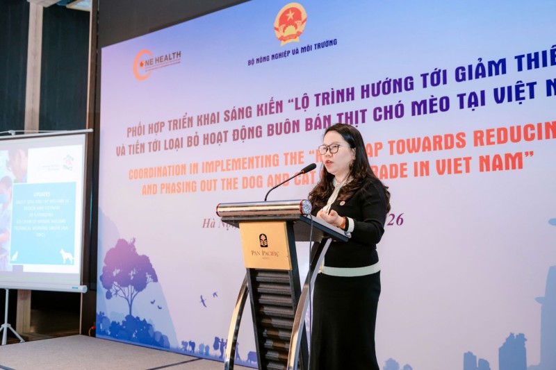 Cuộc họp kỹ thuật bàn giải pháp toàn diện cho quản lý chó mèo tại Việt Nam Cuộc họp kỹ thuật bàn giải pháp toàn diện cho quản lý chó mèo tại Việt Nam