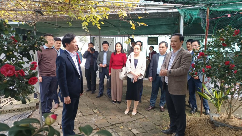 Đánh giá kết quả mô hình nhân giống và sản xuất hoa, cây cảnh tại HTX Hoa sen Vân Đài Đánh giá kết quả mô hình nhân giống và sản xuất hoa, cây cảnh tại HTX Hoa sen Vân Đài