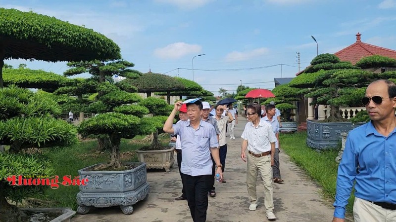 Đình Vị Khê được xếp hạng Di tích quốc gia: Tôn vinh hồn cốt làng hoa, cây cảnh hơn 800 năm tuổi