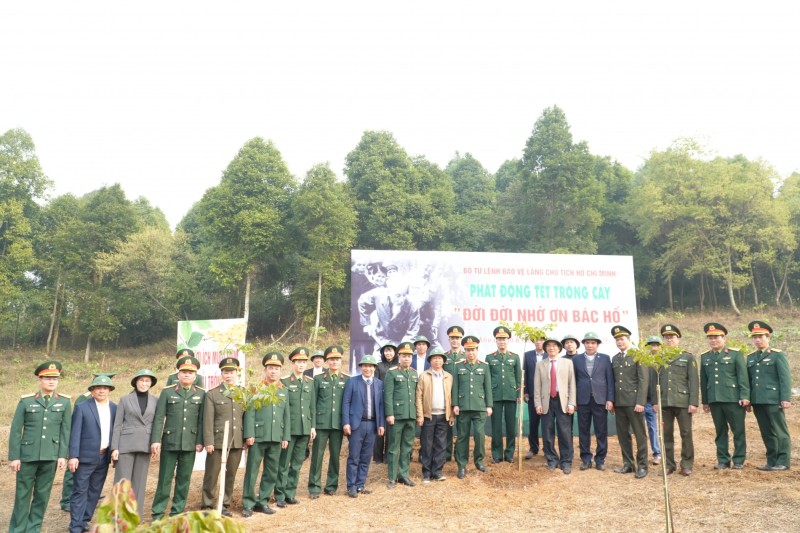 Tết trồng cây - Di sản xanh từ tư tưởng Chủ tịch Hồ Chí Minh