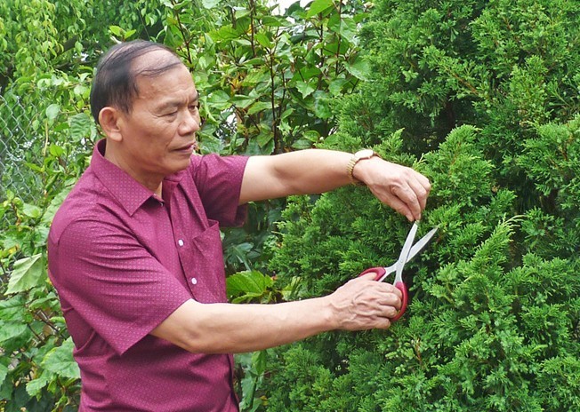 Tết trồng cây - Di sản xanh từ tư tưởng Chủ tịch Hồ Chí Minh