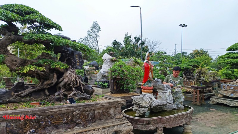 Hoa trong không gian tâm linh: Sắc hương dẫn lối tỉnh thức Hoa trong không gian tâm linh: Sắc hương dẫn lối tỉnh thức