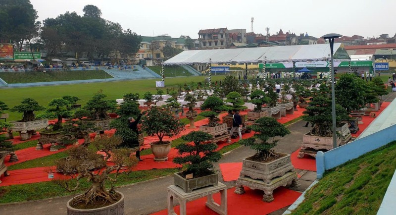 Khai mạc Lễ hội Hoa - Sinh vật cảnh Super Lâm Thao lần thứ II, Xuân Bính Ngọ 2026