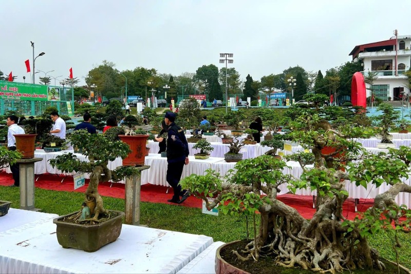 Khai mạc Lễ hội Hoa - Sinh vật cảnh Super Lâm Thao lần thứ II, Xuân Bính Ngọ 2026