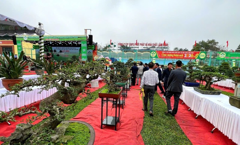 Khai mạc Lễ hội Hoa - Sinh vật cảnh Super Lâm Thao lần thứ II, Xuân Bính Ngọ 2026