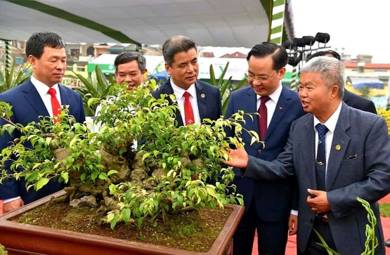 Khai mạc Lễ hội Hoa - Sinh vật cảnh Super Lâm Thao lần thứ II, Xuân Bính Ngọ 2026