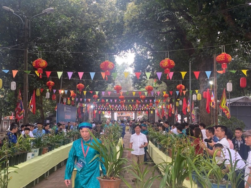 Hội thi Địa Lan Thăng Long 2026: Từ thú chơi tao nhã đến bài toán phát triển ngành lan Việt Nam