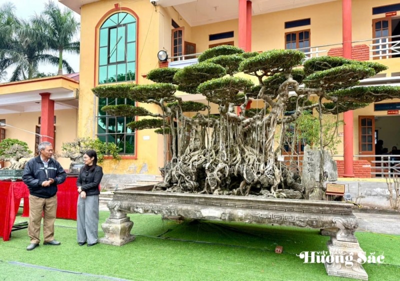 “Thất Tiên Tọa Sơn” - Vẻ đẹp huyền thoại từ bàn tay người phụ nữ yêu cây cảnh “Thất Tiên Tọa Sơn” - Vẻ đẹp huyền thoại từ bàn tay người phụ nữ yêu cây cảnh