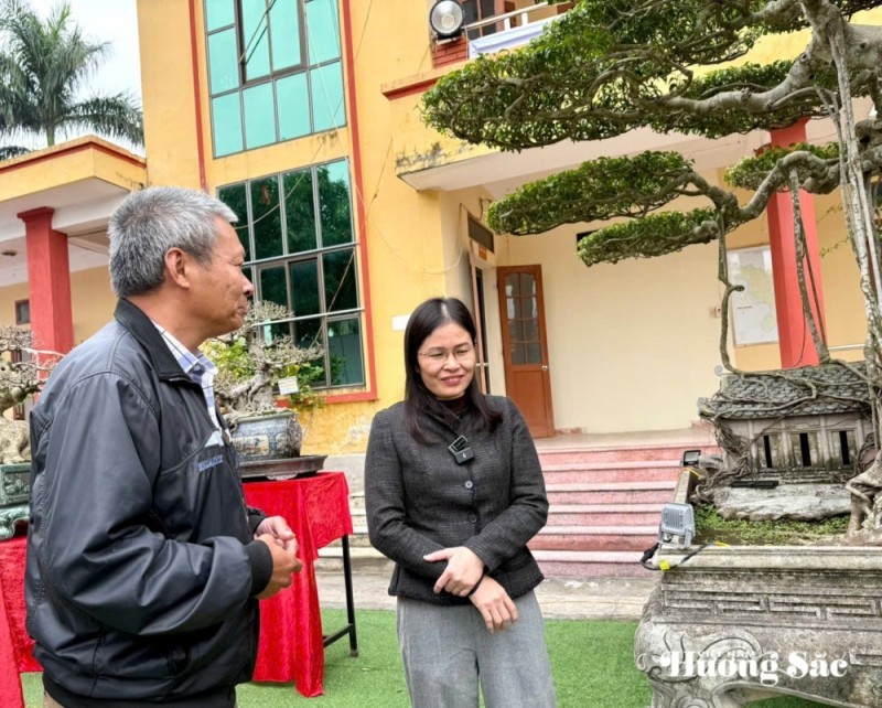 “Thất Tiên Tọa Sơn” - Vẻ đẹp huyền thoại từ bàn tay người phụ nữ yêu cây cảnh “Thất Tiên Tọa Sơn” - Vẻ đẹp huyền thoại từ bàn tay người phụ nữ yêu cây cảnh