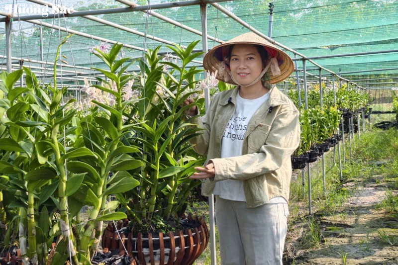 Thạch Thị Kim Hoa: Một đóa lan giữa đất Long Hòa Thạch Thị Kim Hoa: Một đóa lan giữa đất Long Hòa