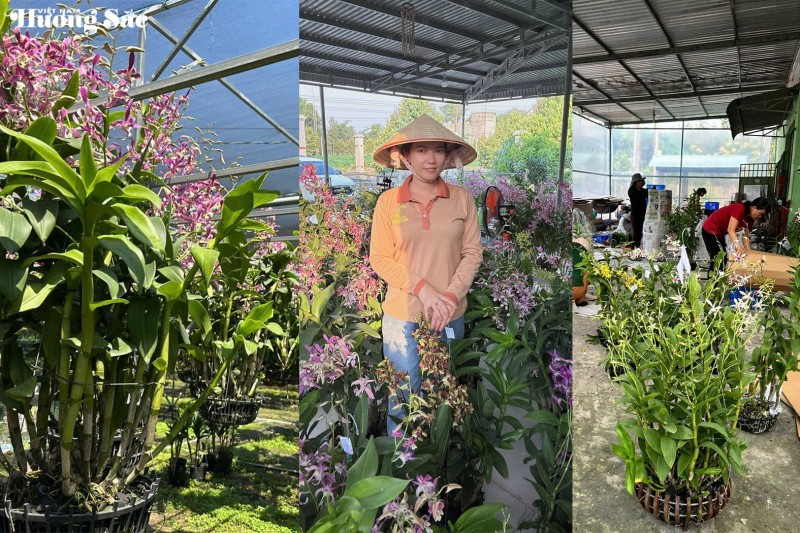 Thạch Thị Kim Hoa: Một đóa lan giữa đất Long Hòa Thạch Thị Kim Hoa: Một đóa lan giữa đất Long Hòa