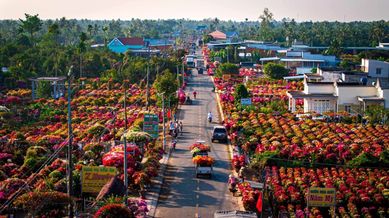 Hội Sinh vật cảnh Việt Nam gia nhập Hiệp hội Quốc tế các Nhà sản xuất Hoa và Cây cảnh (AIPH)