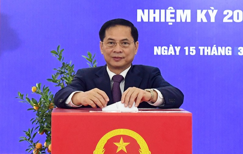 Các đồng chí lãnh đạo Đảng, Nhà nước hòa cùng 'Ngày hội non sông'- Ảnh 9.