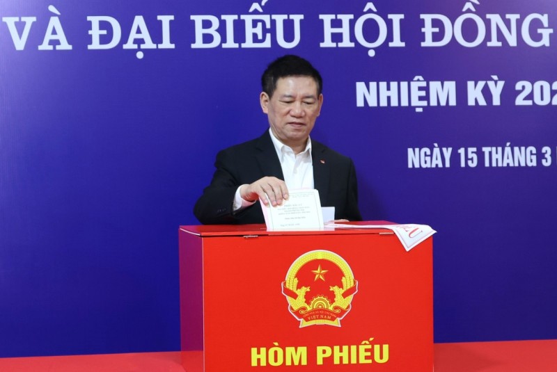 Các đồng chí lãnh đạo Đảng, Nhà nước hòa cùng 'Ngày hội non sông'- Ảnh 8.