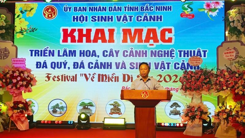 Triển lãm hoa cây cảnh nghệ thuật chào mừng Festival “Về miền di sản 2026” Triển lãm hoa cây cảnh nghệ thuật chào mừng Festival “Về miền di sản 2026”