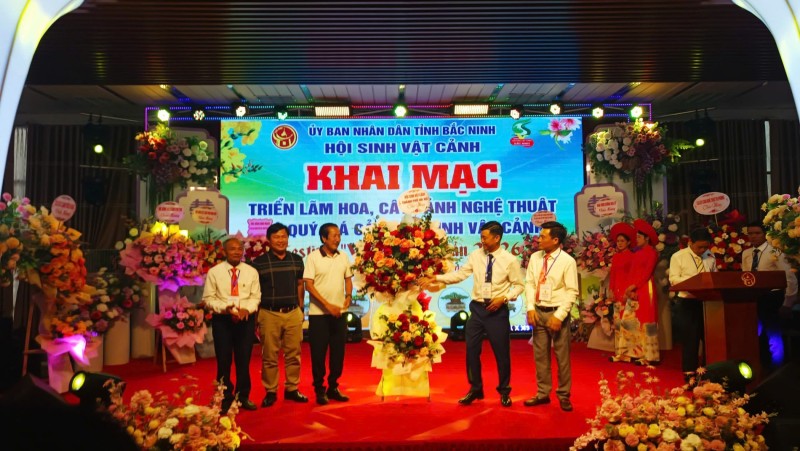 Triển lãm hoa cây cảnh nghệ thuật chào mừng Festival “Về miền di sản 2026” Triển lãm hoa cây cảnh nghệ thuật chào mừng Festival “Về miền di sản 2026”