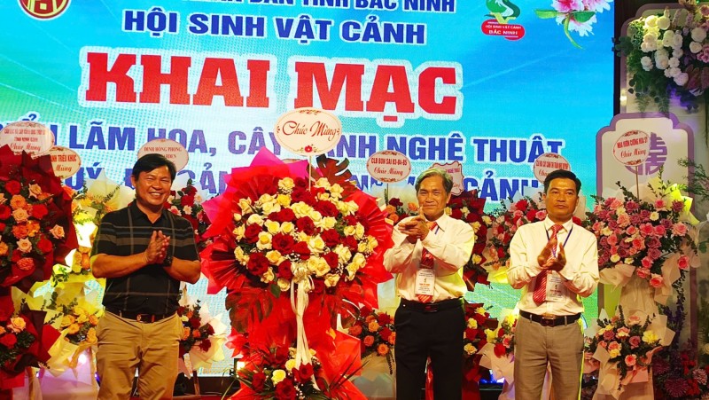 Triển lãm hoa cây cảnh nghệ thuật chào mừng Festival “Về miền di sản 2026” Triển lãm hoa cây cảnh nghệ thuật chào mừng Festival “Về miền di sản 2026”