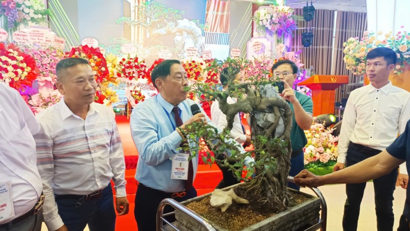 Triển lãm hoa cây cảnh nghệ thuật chào mừng Festival “Về miền di sản 2026” Triển lãm hoa cây cảnh nghệ thuật chào mừng Festival “Về miền di sản 2026”