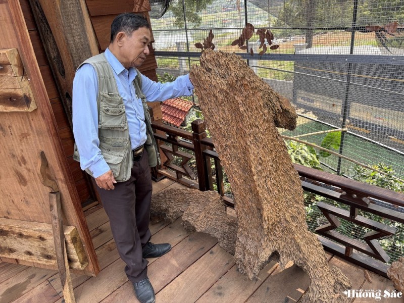 VPĐD Khu vực Duyên hải Nam Trung Bộ và Tây Nguyên làm việc với Hội Sinh vật cảnh tỉnh Đắk Lắk: Lan tỏa sắc xanh Tây Nguyên VPĐD Khu vực Duyên hải Nam Trung Bộ và Tây Nguyên làm việc với Hội Sinh vật cảnh tỉnh Đắk Lắk: Lan tỏa sắc xanh Tây Nguyên