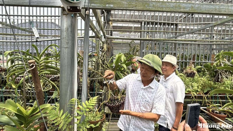 VPĐD Khu vực Duyên hải Nam Trung Bộ và Tây Nguyên làm việc với Hội Sinh vật cảnh tỉnh Đắk Lắk: Lan tỏa sắc xanh Tây Nguyên VPĐD Khu vực Duyên hải Nam Trung Bộ và Tây Nguyên làm việc với Hội Sinh vật cảnh tỉnh Đắk Lắk: Lan tỏa sắc xanh Tây Nguyên