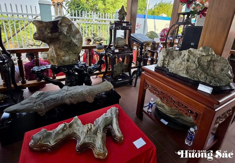 Đá cảnh Duy Xuyên “xuất ngoại”: Từ dòng Thu Bồn đến sân khấu toàn cầu Đá cảnh Duy Xuyên “xuất ngoại”: Từ dòng Thu Bồn đến sân khấu toàn cầu