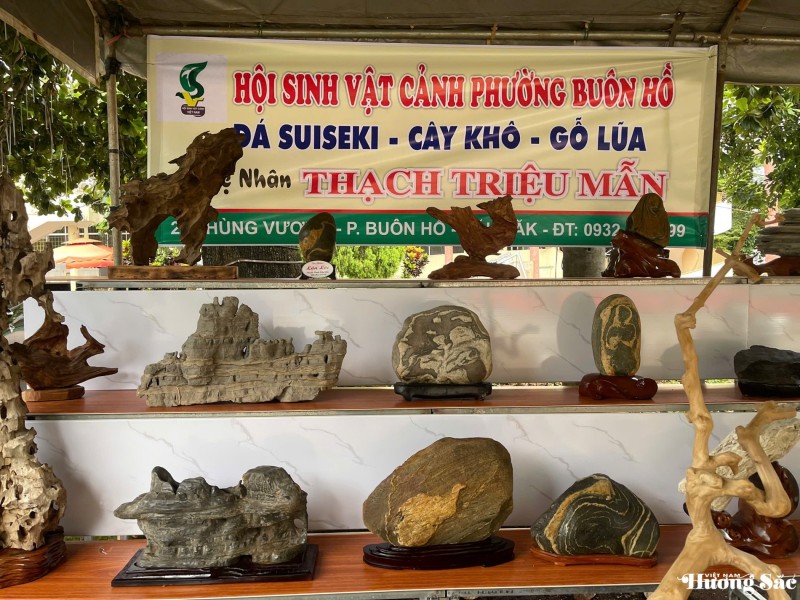 Gian hàng trưng bày đá cảnh của nghệ nhân Thạch Triệu Mãn tại triển lãm sinh vật cảnh Đắk