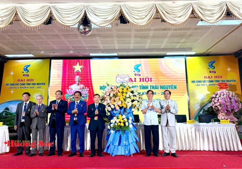 Hội Sinh vật cảnh Thái Nguyên vững bước vào nhiệm kỳ 2026 - 2031 Hội Sinh vật cảnh Thái Nguyên vững bước vào nhiệm kỳ 2026 - 2031