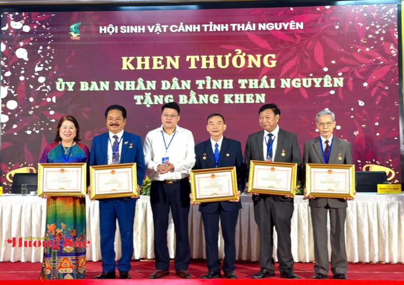 Hội Sinh vật cảnh Thái Nguyên vững bước vào nhiệm kỳ 2026 - 2031 Hội Sinh vật cảnh Thái Nguyên vững bước vào nhiệm kỳ 2026 - 2031