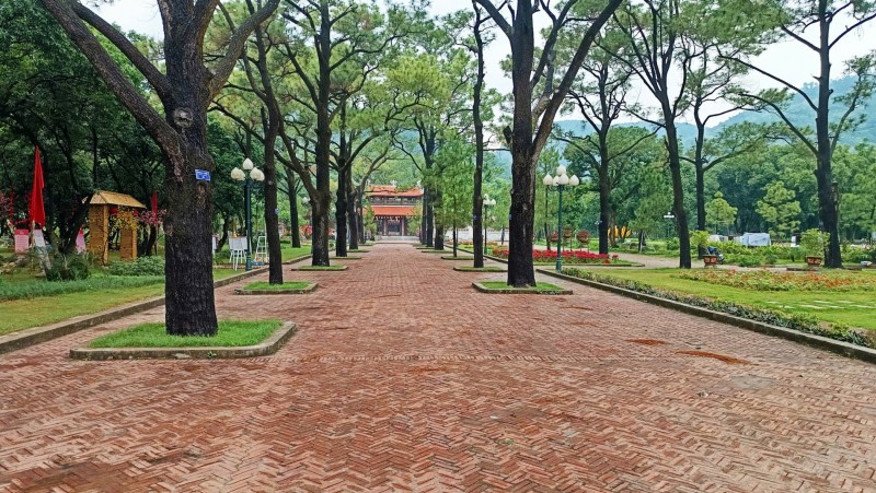 Sinh vật cảnh Việt Nam: Gắn kết thiên nhiên, văn hóa và kinh tế di sản trong kỷ nguyên mới