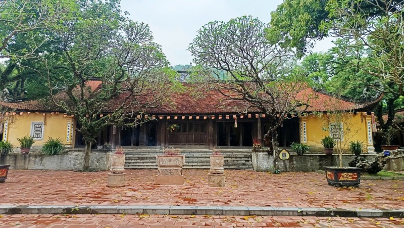 Sinh vật cảnh Việt Nam: Gắn kết thiên nhiên, văn hóa và kinh tế di sản trong kỷ nguyên mới