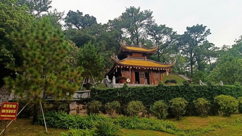 Sinh vật cảnh Việt Nam: Gắn kết thiên nhiên, văn hóa và kinh tế di sản trong kỷ nguyên mới