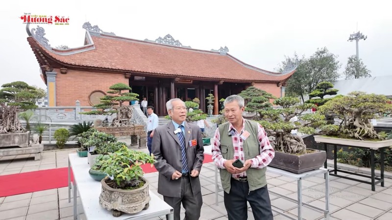 Sinh vật cảnh Việt Nam: Gắn kết thiên nhiên, văn hóa và kinh tế di sản trong kỷ nguyên mới