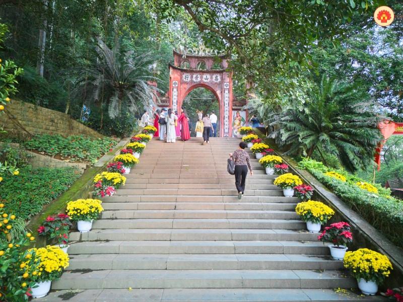 Sinh vật cảnh Việt Nam: Gắn kết thiên nhiên, văn hóa và kinh tế di sản trong kỷ nguyên mới