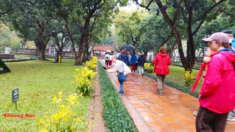 Sinh vật cảnh Việt Nam: Gắn kết thiên nhiên, văn hóa và kinh tế di sản trong kỷ nguyên mới