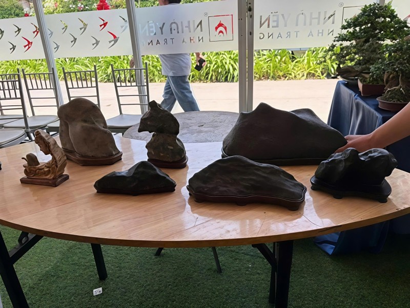 Ra mắt Câu lạc bộ Đá cảnh Khánh Hòa – Kết nối đam mê, lan tỏa giá trị nghệ thuật