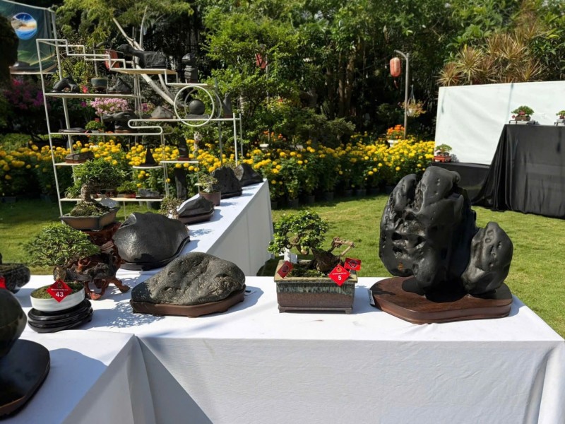 Ra mắt Câu lạc bộ Đá cảnh Khánh Hòa – Kết nối đam mê, lan tỏa giá trị nghệ thuật