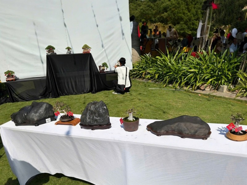 Ra mắt Câu lạc bộ Đá cảnh Khánh Hòa – Kết nối đam mê, lan tỏa giá trị nghệ thuật