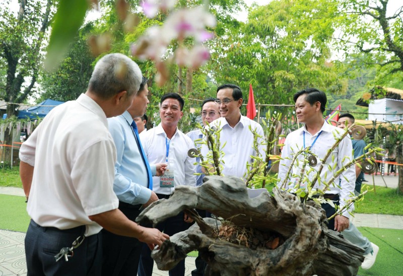 Khai mạc Triển lãm Hoa Lan Nghệ thuật Toàn quốc lần thứ III tại Đền Hùng