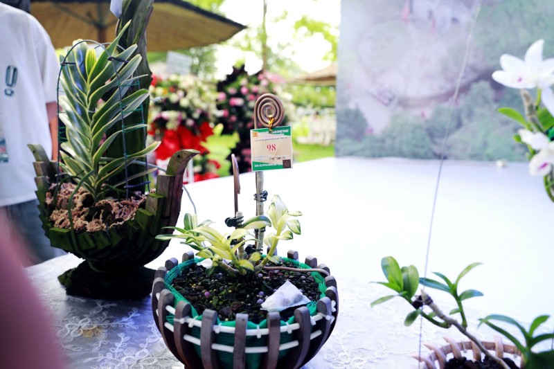 Khai mạc Triển lãm Hoa Lan Nghệ thuật Toàn quốc lần thứ III tại Đền Hùng