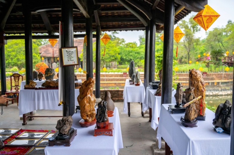 Festival Huế 2026: Thưởng ngoạn phong lan, cây cảnh giữa di sản