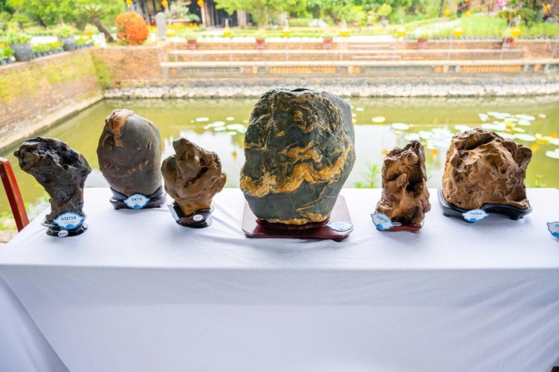 Festival Huế 2026: Thưởng ngoạn phong lan, cây cảnh giữa di sản