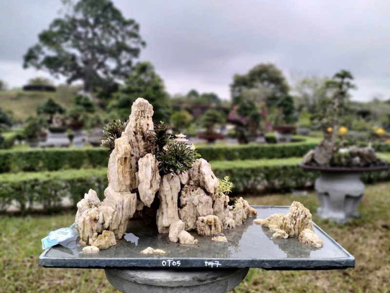 Festival Huế 2026: Thưởng ngoạn phong lan, cây cảnh giữa di sản