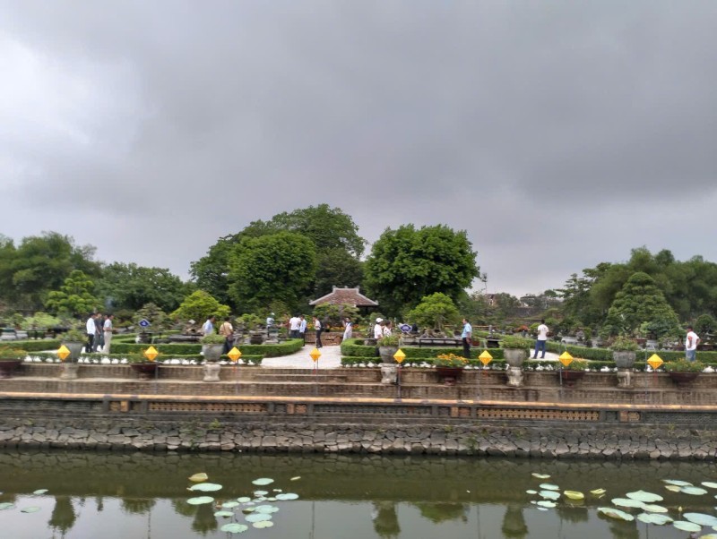 Festival Huế 2026: Thưởng ngoạn phong lan, cây cảnh giữa di sản