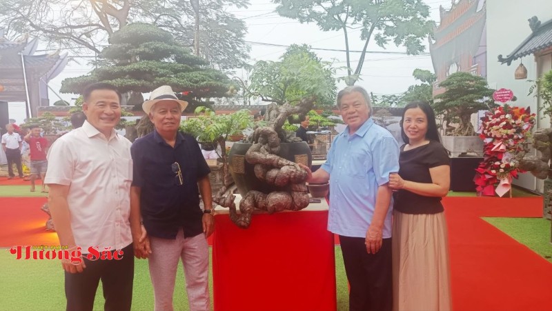 Hà Nội: Khai mạc Triển lãm Cây cảnh Nghệ thuật Xuân 2026