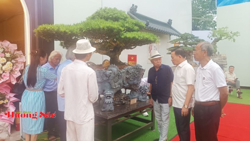 Hà Nội: Khai mạc Triển lãm Cây cảnh Nghệ thuật Xuân 2026