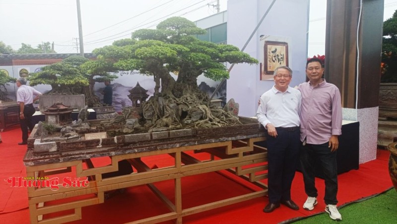 Hà Nội: Khai mạc Triển lãm Cây cảnh Nghệ thuật Xuân 2026